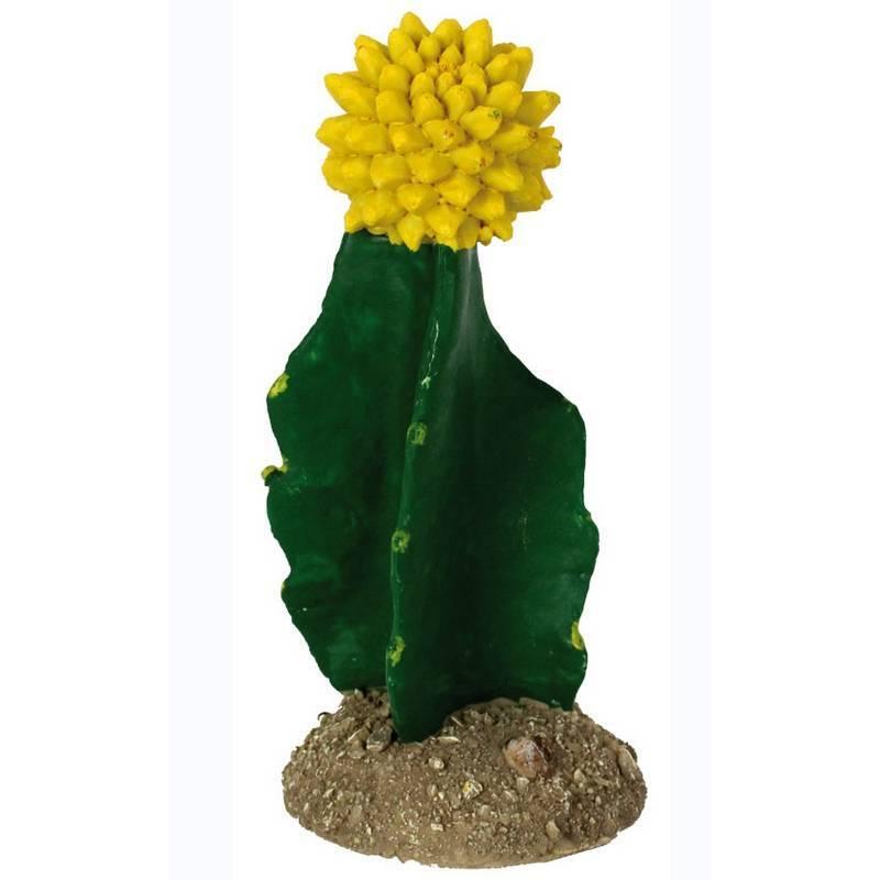 product/r/e/reptiles-planet_rp876200_vert-jaune_1.jpg