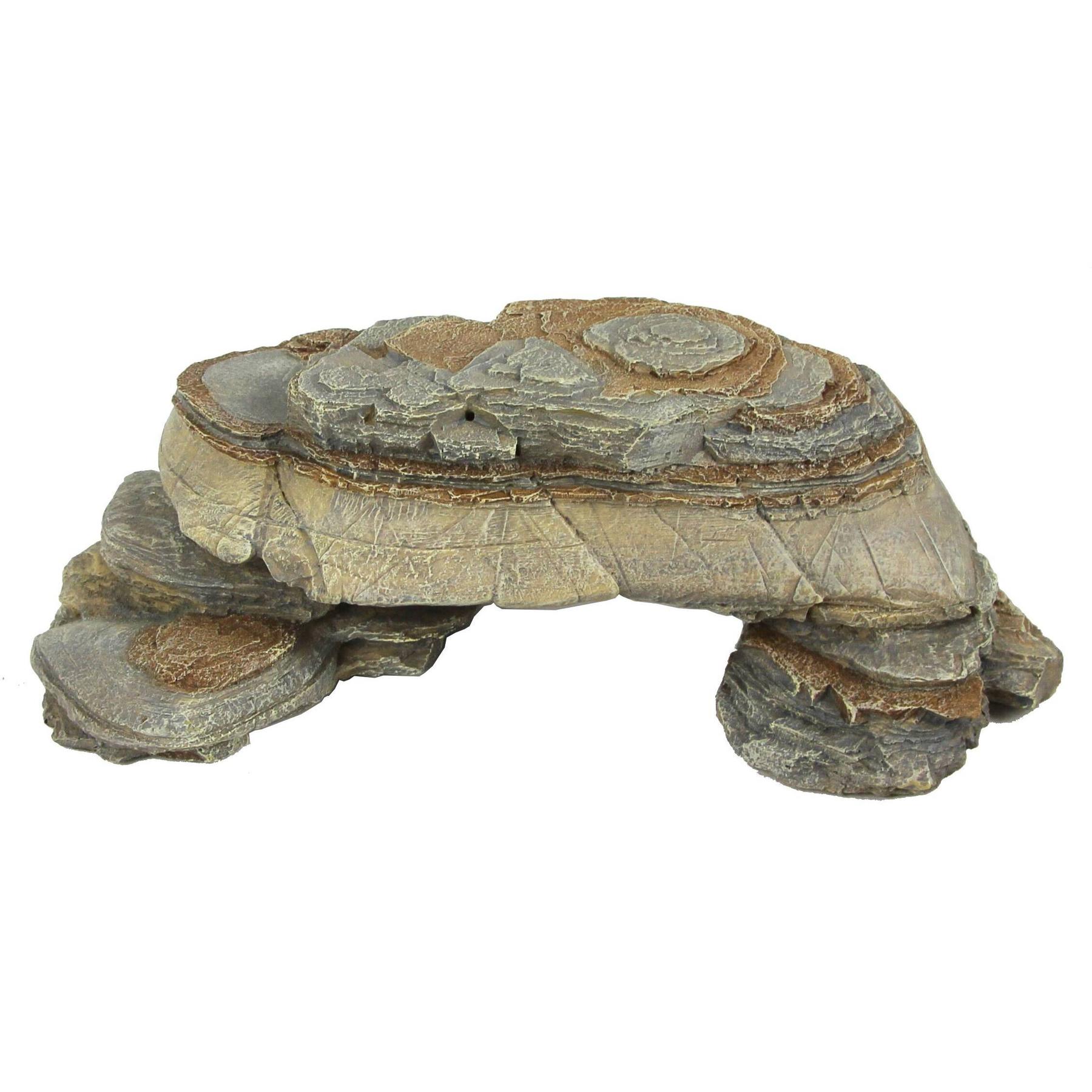 product/r/e/reptiles-planet_rp876216_vert_1.jpg