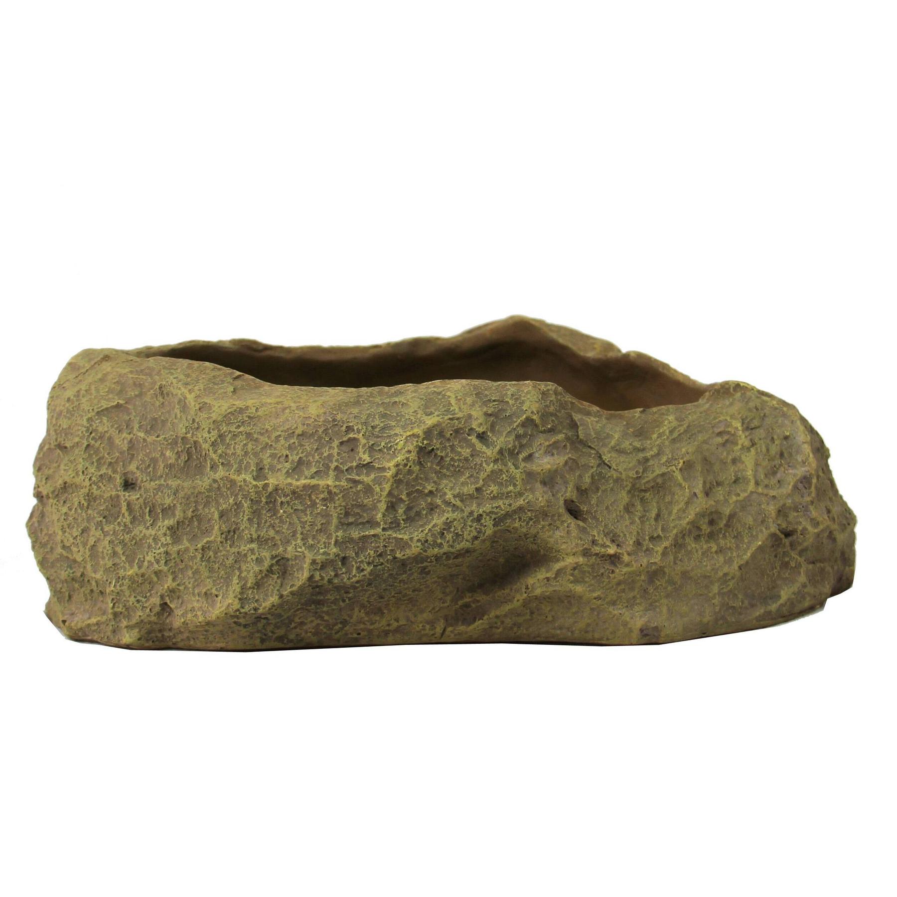 product/r/e/reptiles-planet_rp876231_vert_2.jpg