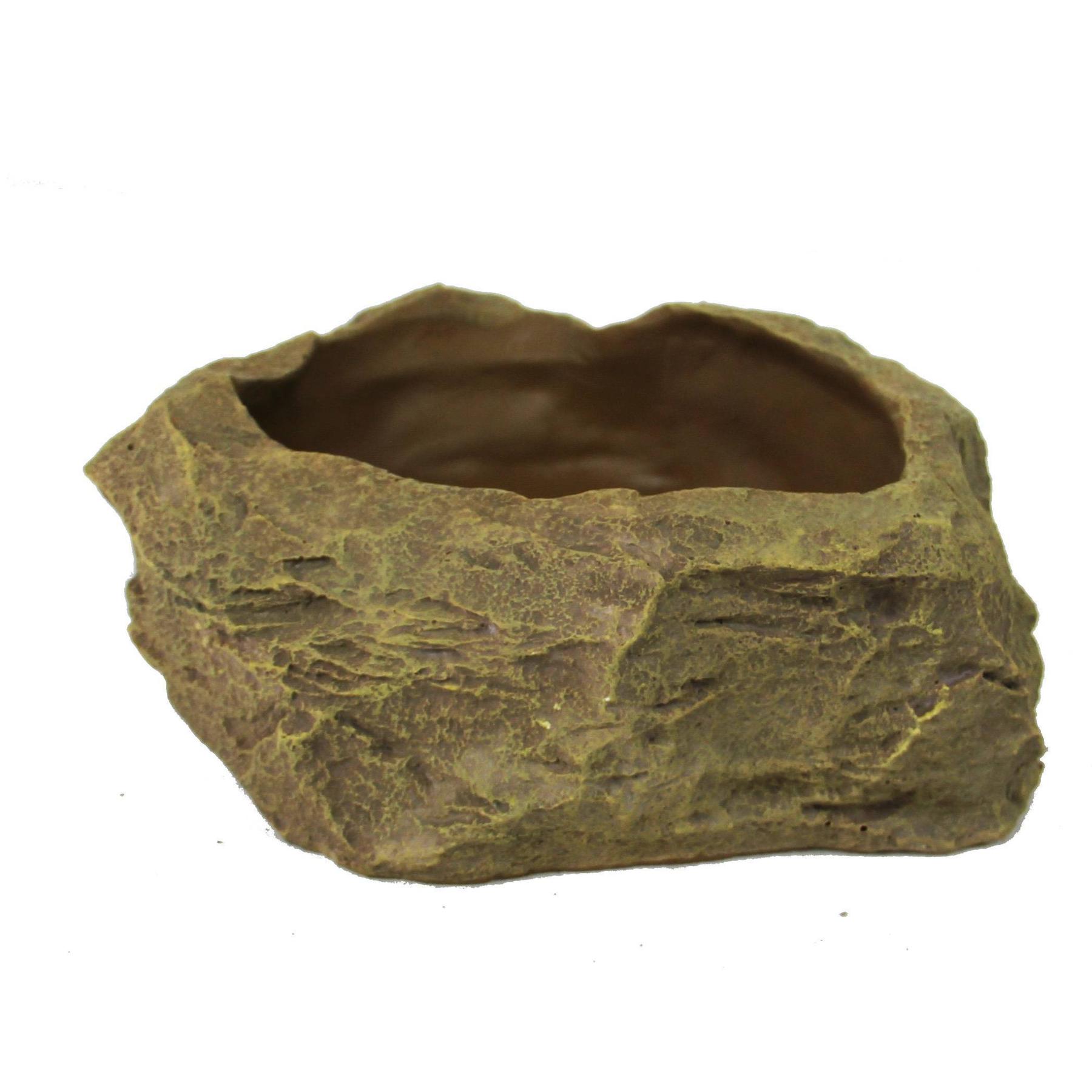 product/r/e/reptiles-planet_rp876231_vert_4.jpg