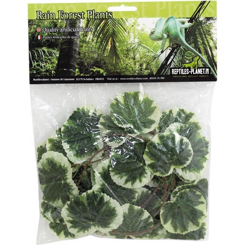 product/r/e/reptiles-planet_rp876256_vert_1.jpg