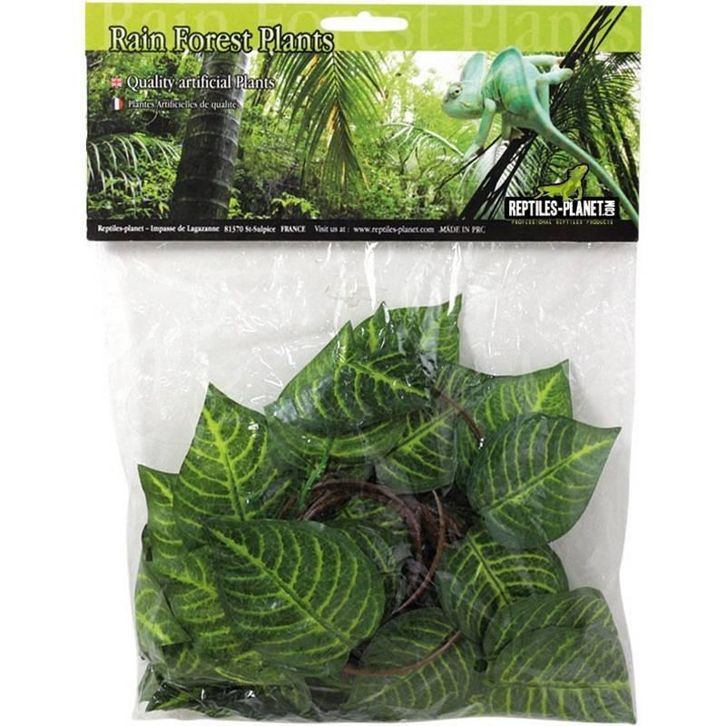 product/r/e/reptiles-planet_rp876260_vert_1.jpg