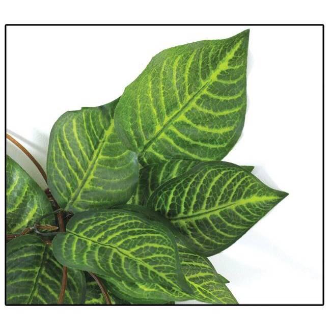 product/r/e/reptiles-planet_rp876260_vert_2.jpg