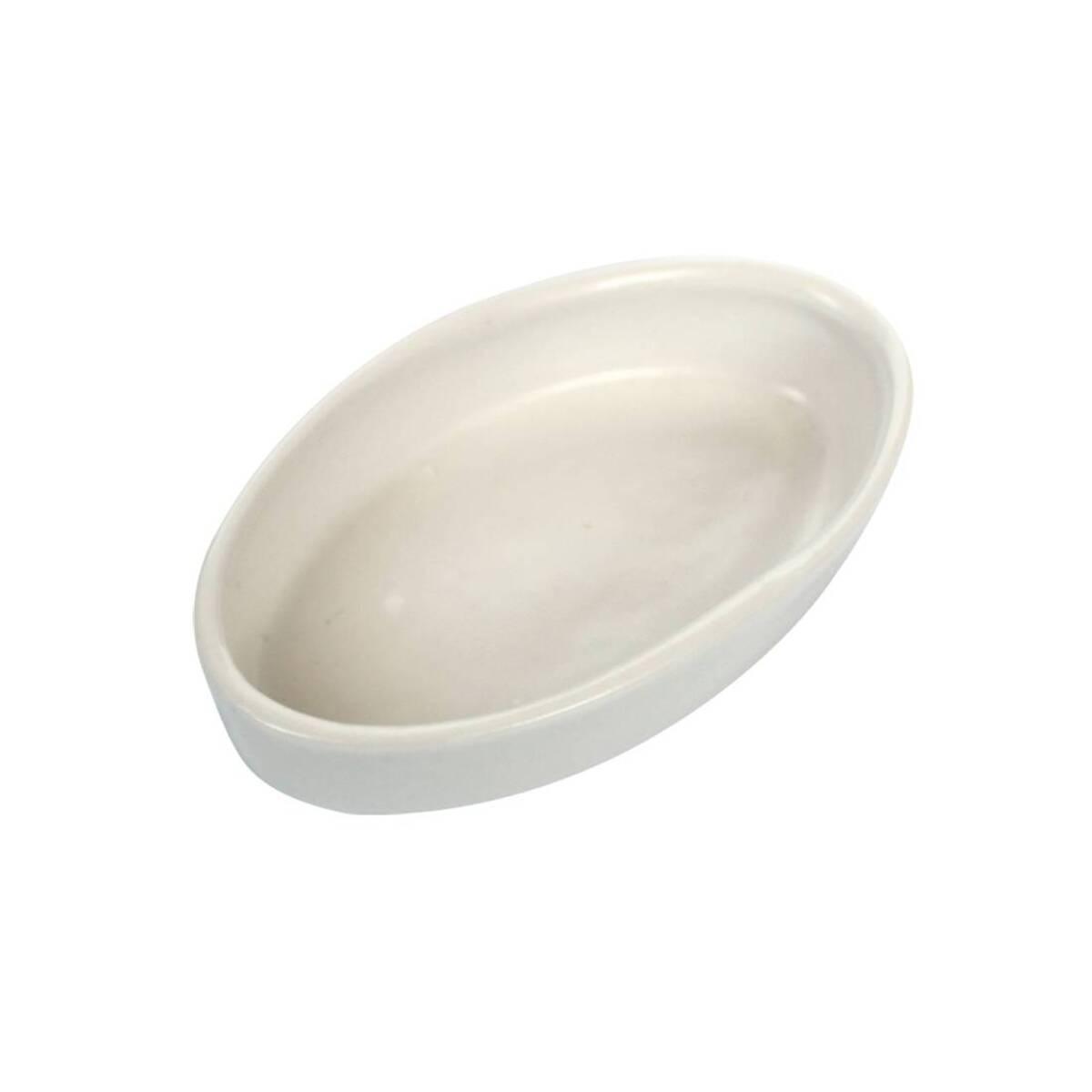 product/r/e/reptiles-planet_rp876279_blanc_1.jpg