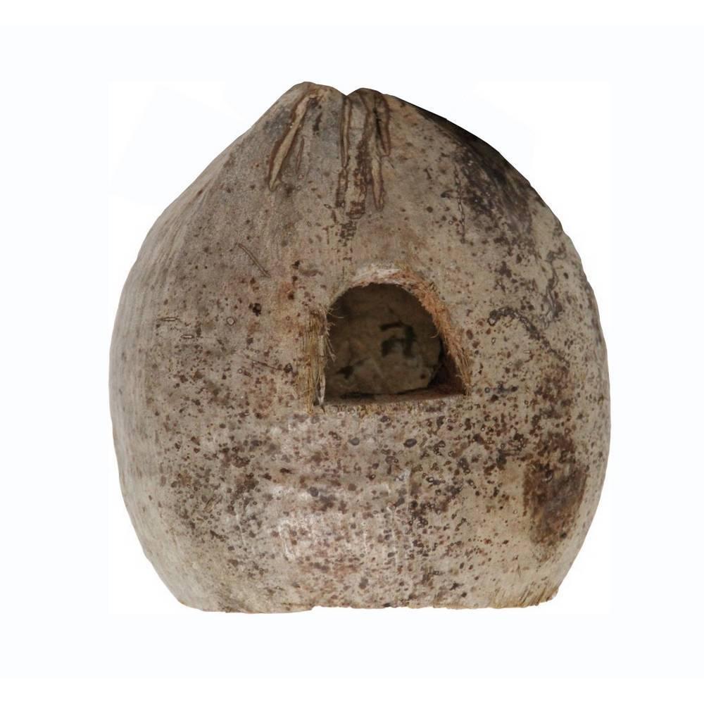 product/r/e/reptiles-planet_rp890555_marron_1.jpg