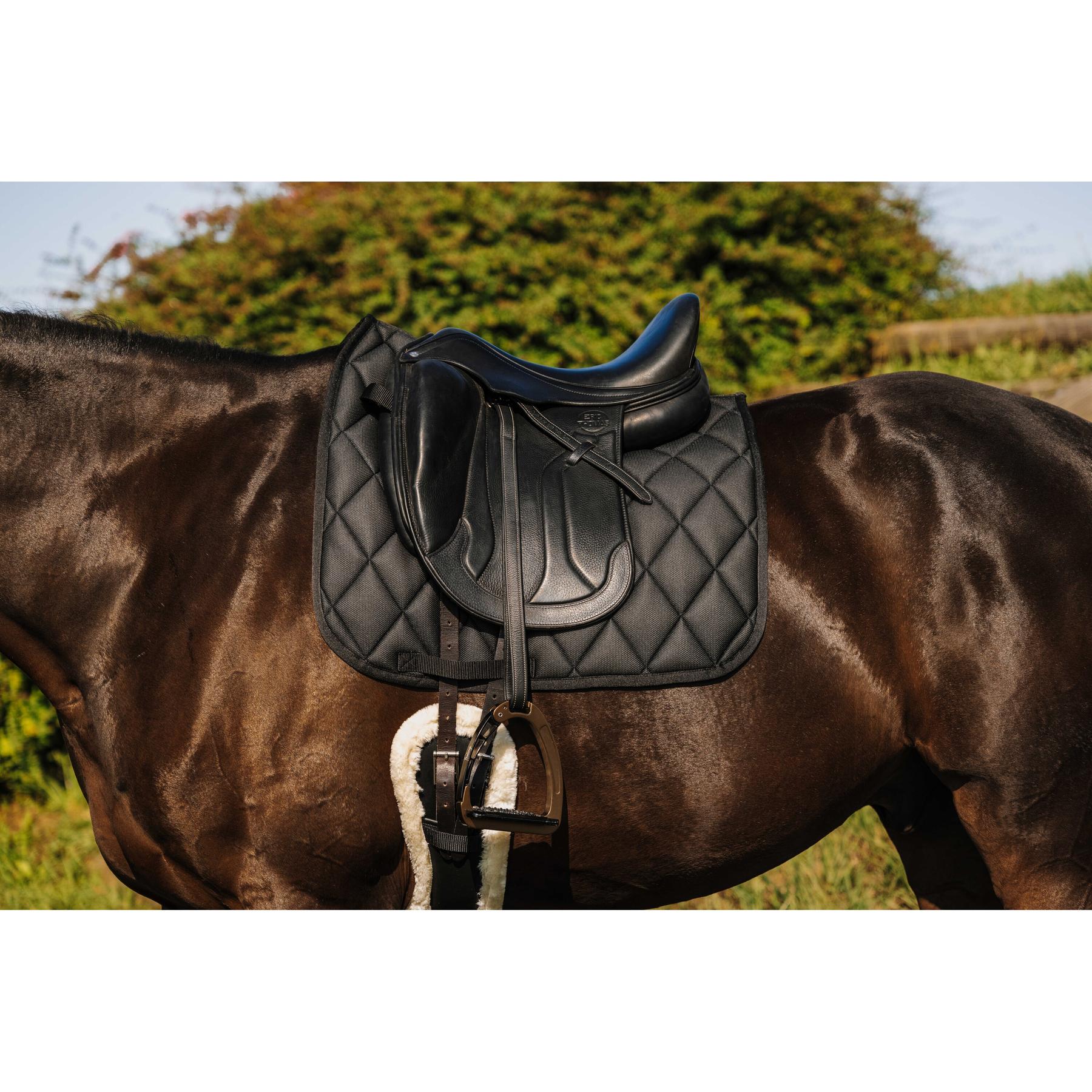 product/r/i/riding-world_204014002_noir_3.jpg