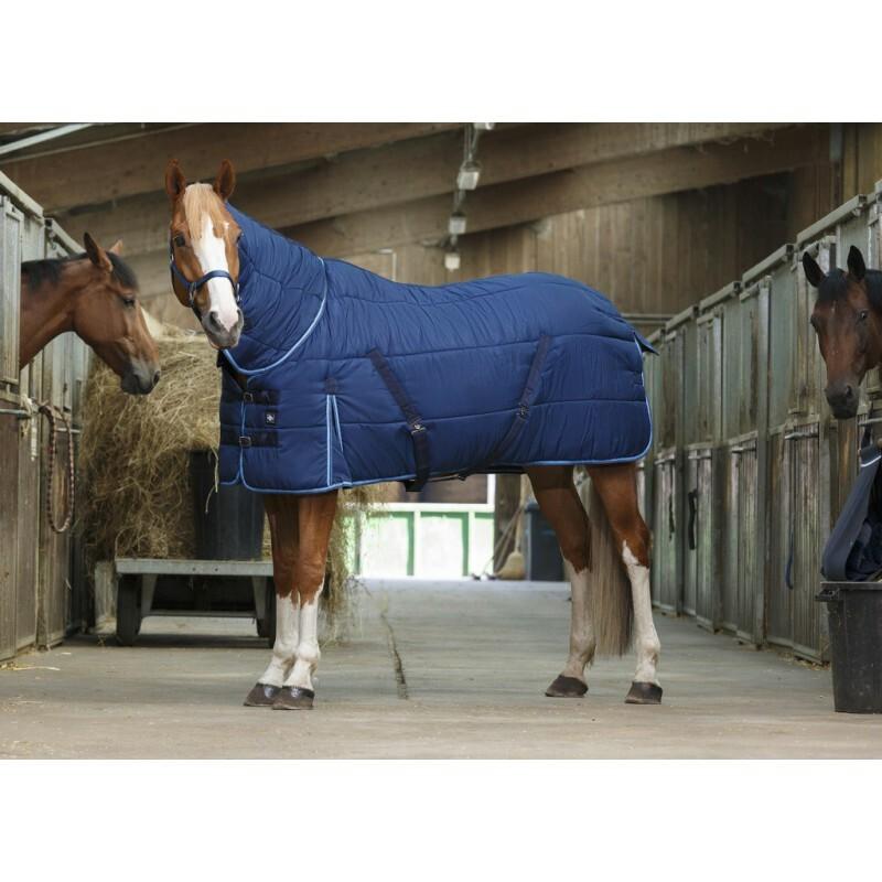 product/r/i/riding-world_400506770_1.jpg