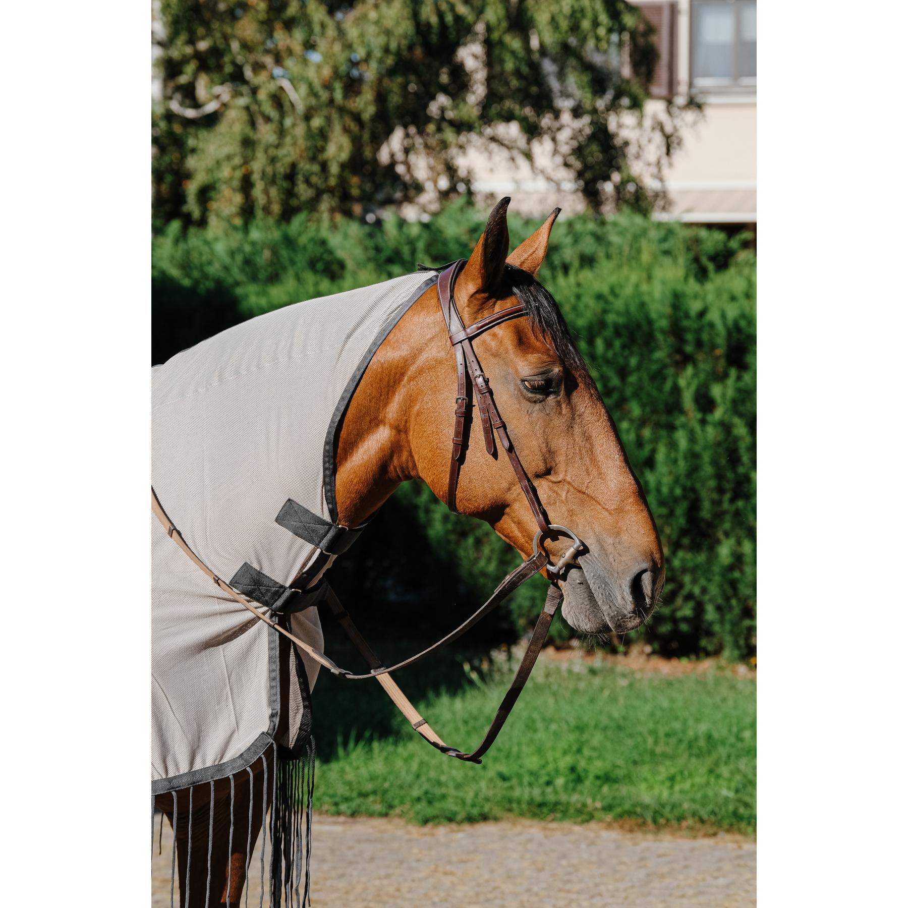 product/r/i/riding-world_400_703_063_det1.jpg