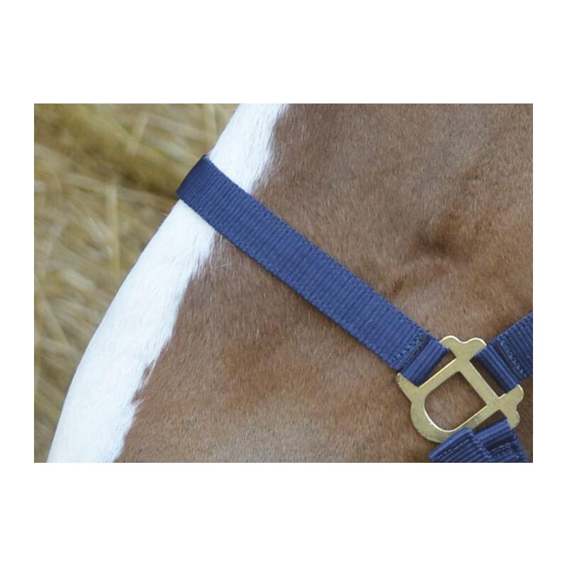 product/r/i/riding-world_510031007_2.jpg