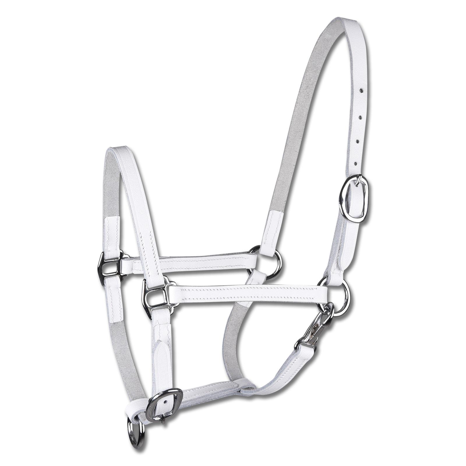 product/s/t/star_50436202-sh_blanc_1.jpg