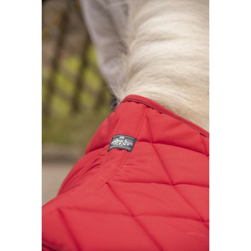 product/t/a/tapis-paddock-prems_4_.jpg