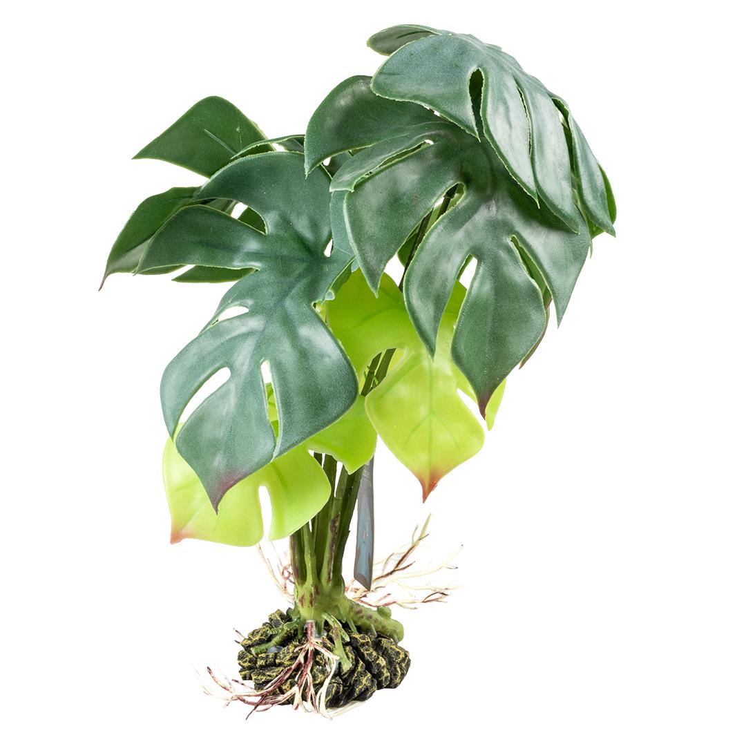 product/t/e/terra-della_242-480786_4-nw050724.jpg