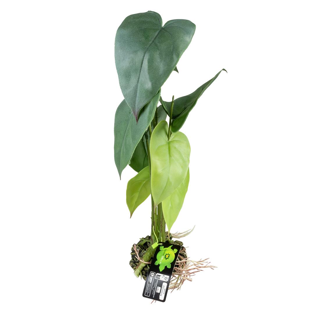 product/t/e/terra-della_242-480793_5-nw050724.jpg