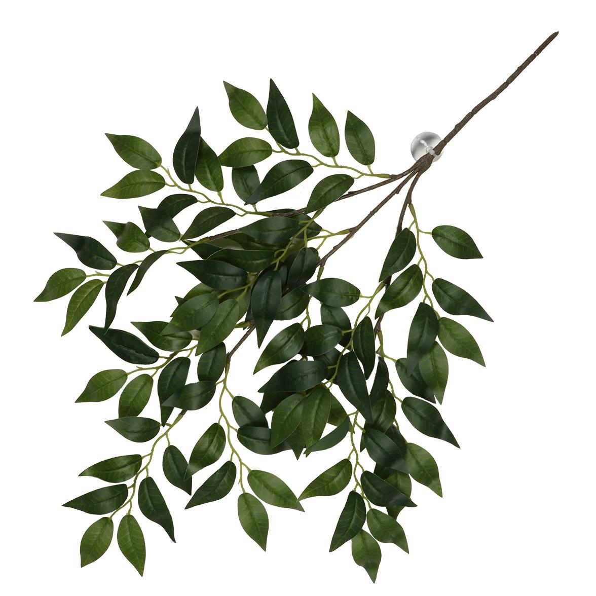 product/t/e/terra-della_243-470466_4.jpg