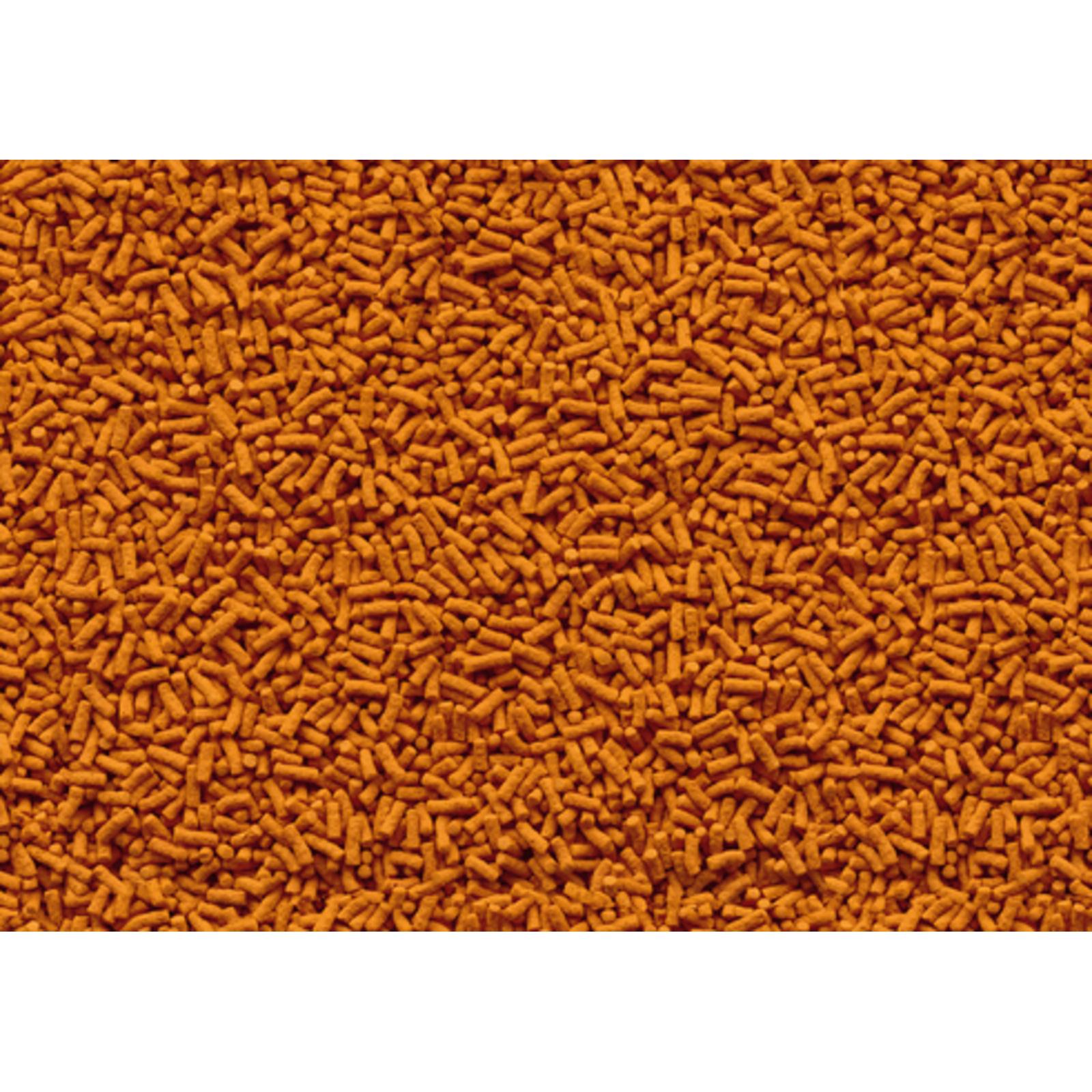 product/t/e/tetra_396101_1.jpg