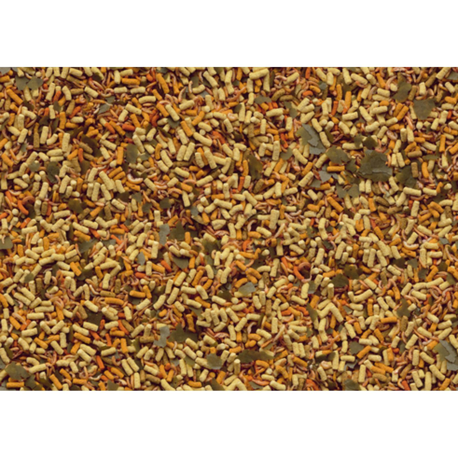 product/t/e/tetra_396250_1.jpg