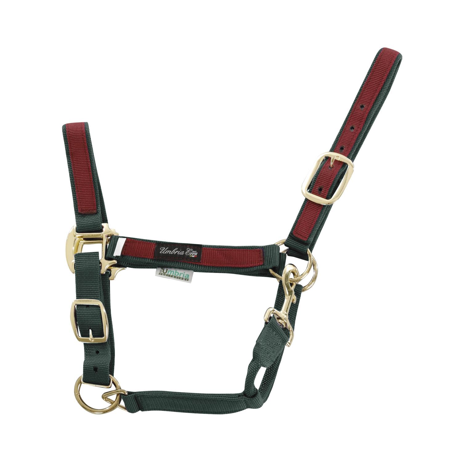 product/u/m/umbria-equitazione_ca00021-green_burgundy_ca00021-green-burgundy_1.jpg