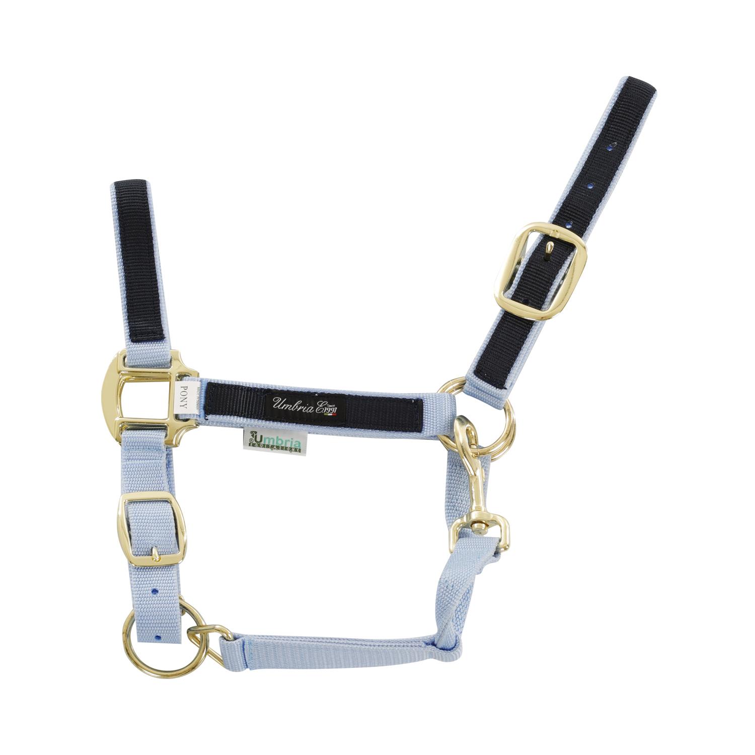 product/u/m/umbria-equitazione_ca00021-lightblue_navy_ca00021-lightblue-navy_1.jpg
