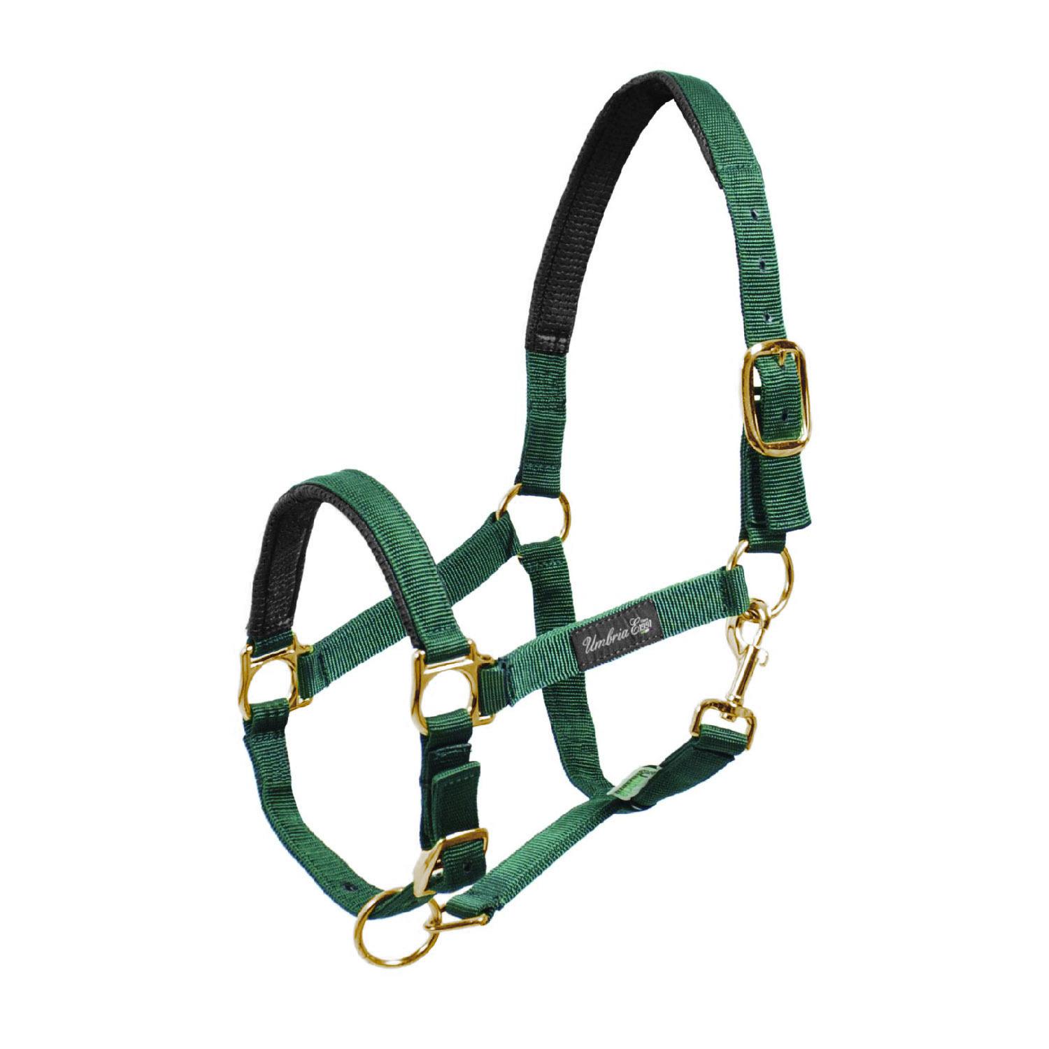 product/u/m/umbria-equitazione_ca00022-green_ca00022-green_1.jpg