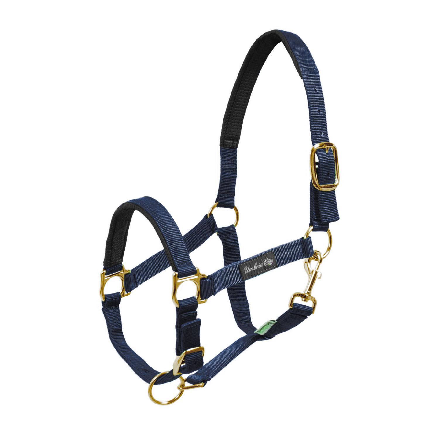 product/u/m/umbria-equitazione_ca00022-navy_ca00022-navy_1.jpg