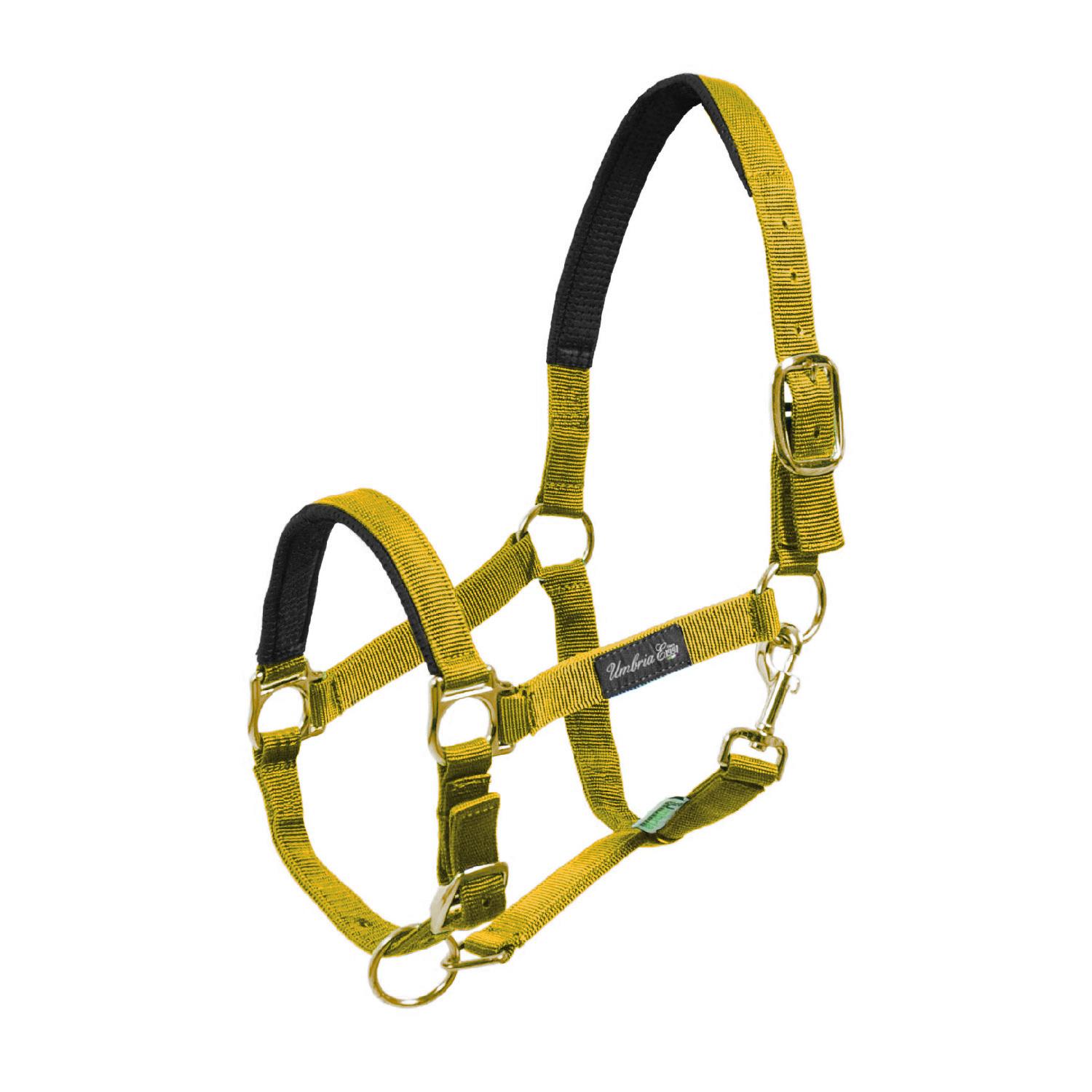 product/u/m/umbria-equitazione_ca00022-yellow_ca00022-yellow_1.jpg