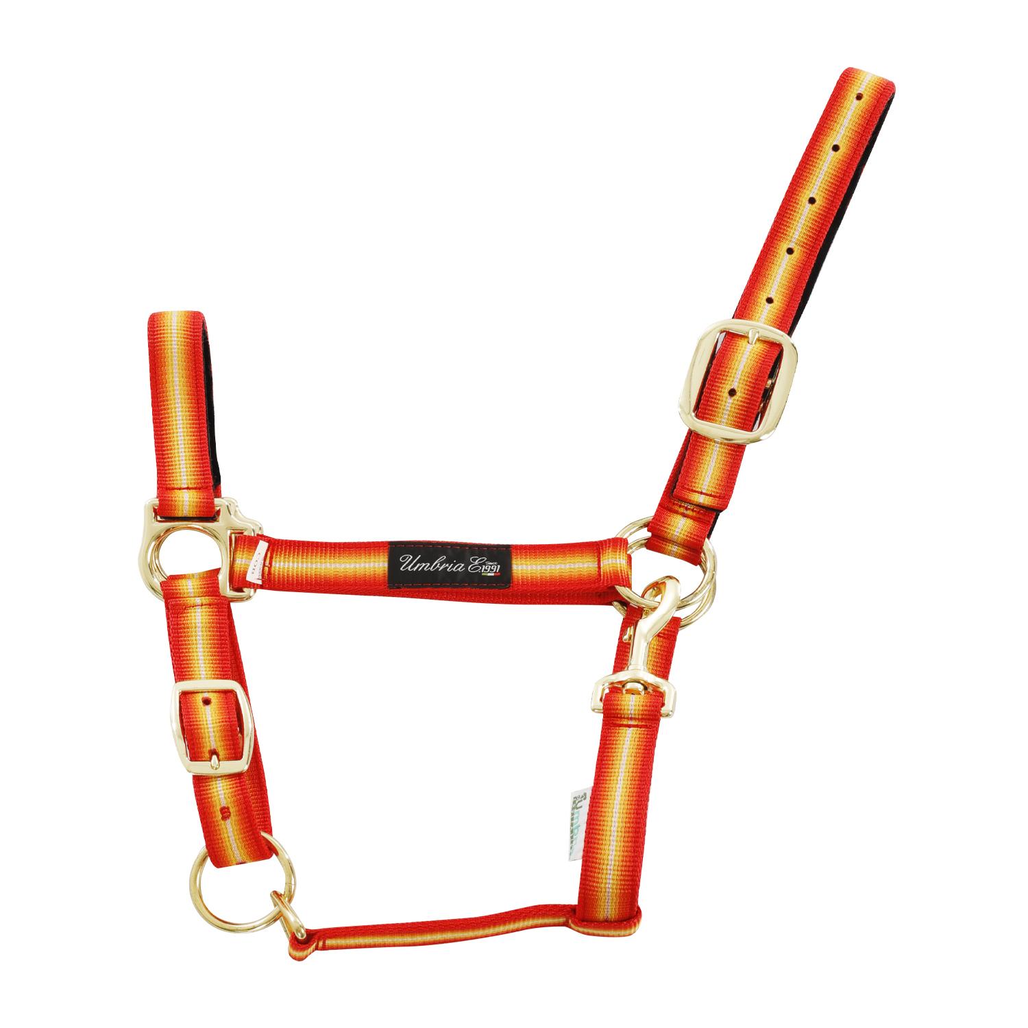 product/u/m/umbria-equitazione_ca00040-red_yellow_ca00040-red-yellow_1.jpg