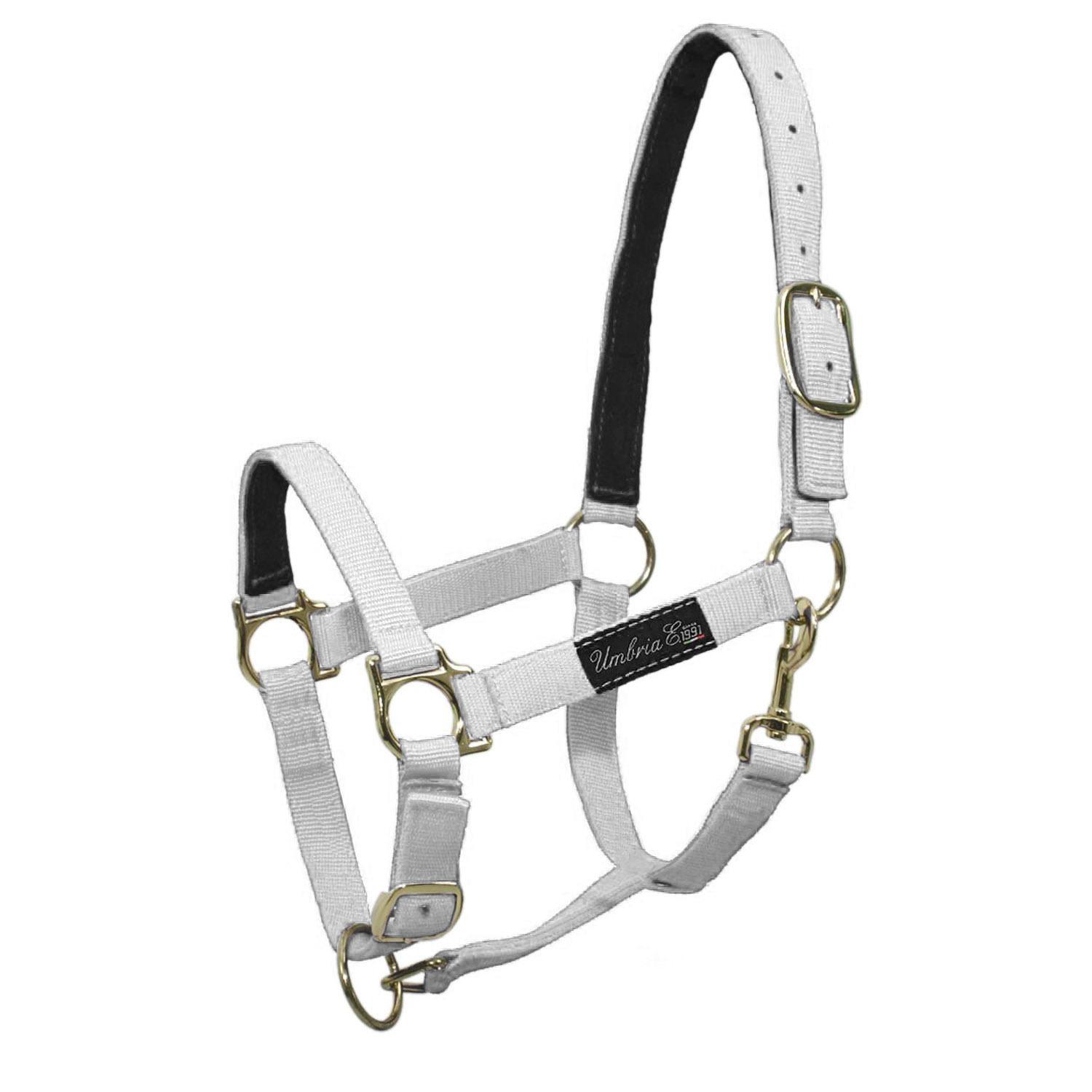 product/u/m/umbria-equitazione_ca00040-white_ca00040-white_1.jpg