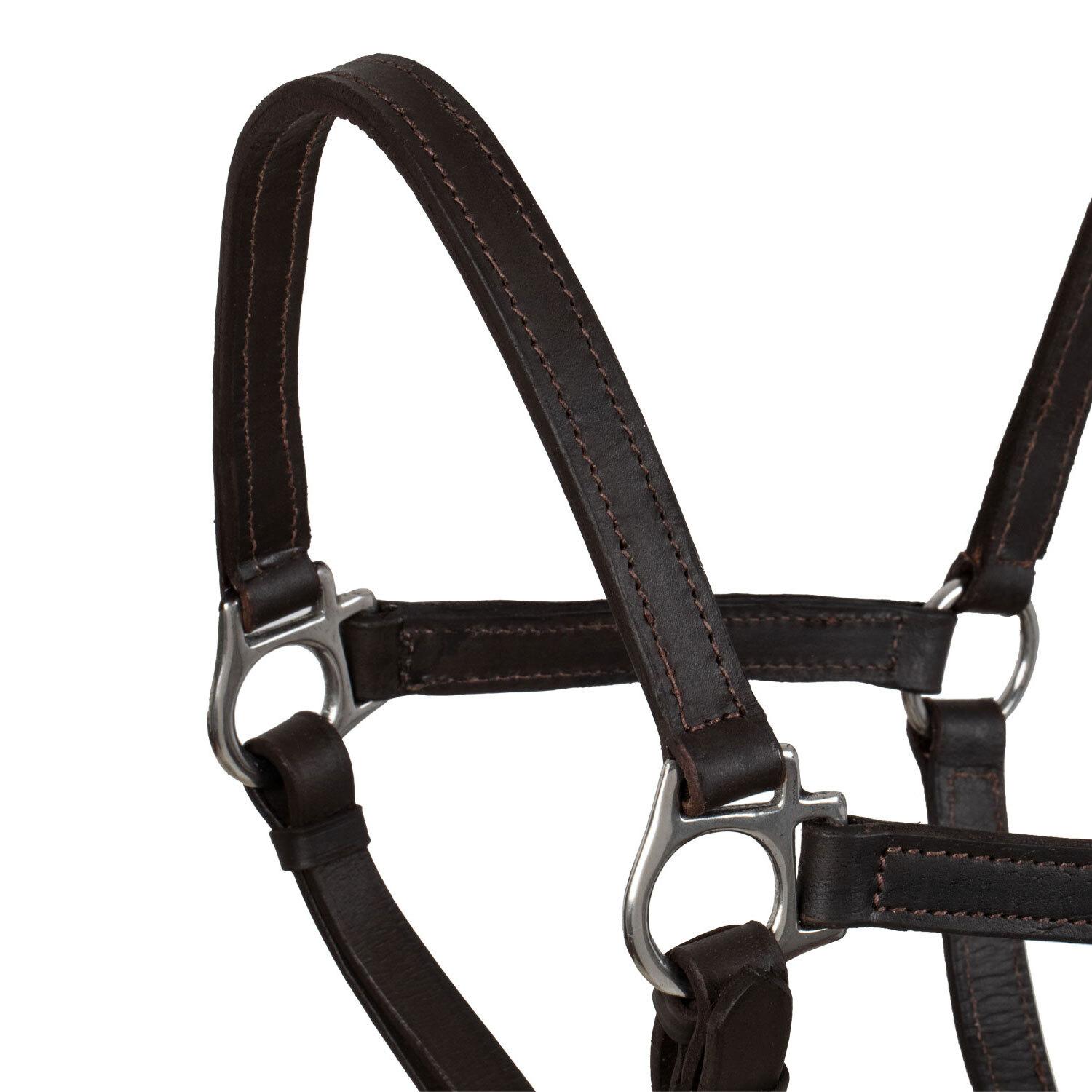 product/u/m/umbria-equitazione_ca00071-brown_brown_2.jpg