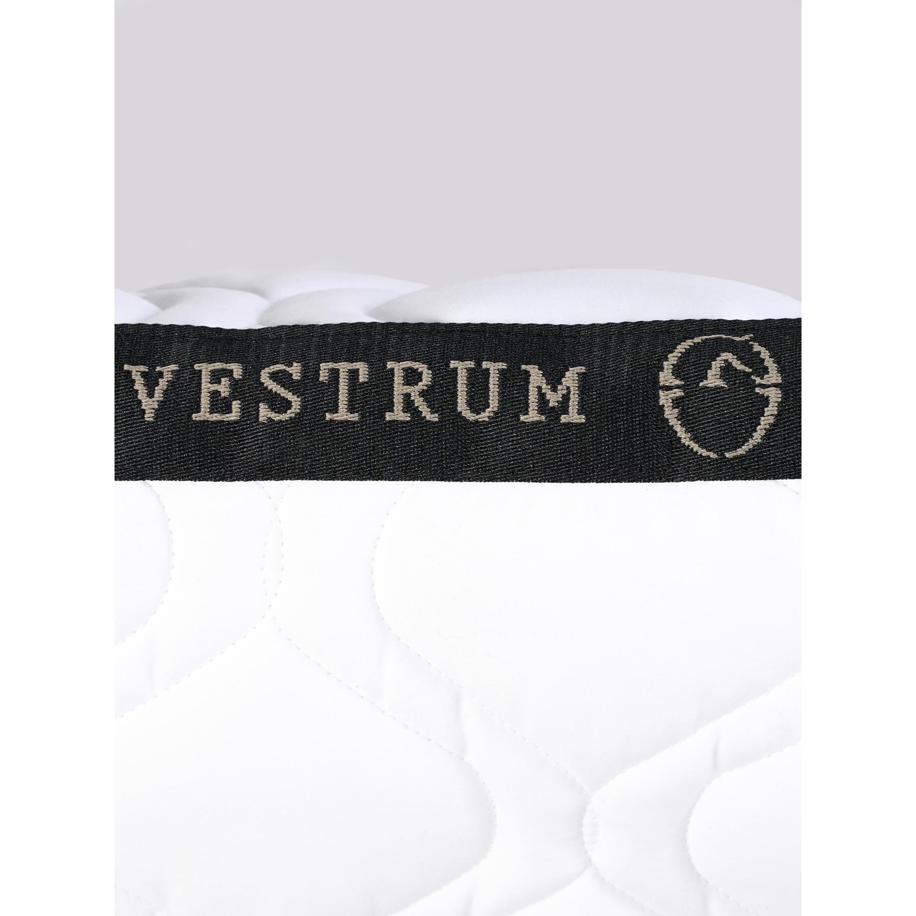 product/v/e/vestrum_31_v_u9048_25071___00010_3.jpg