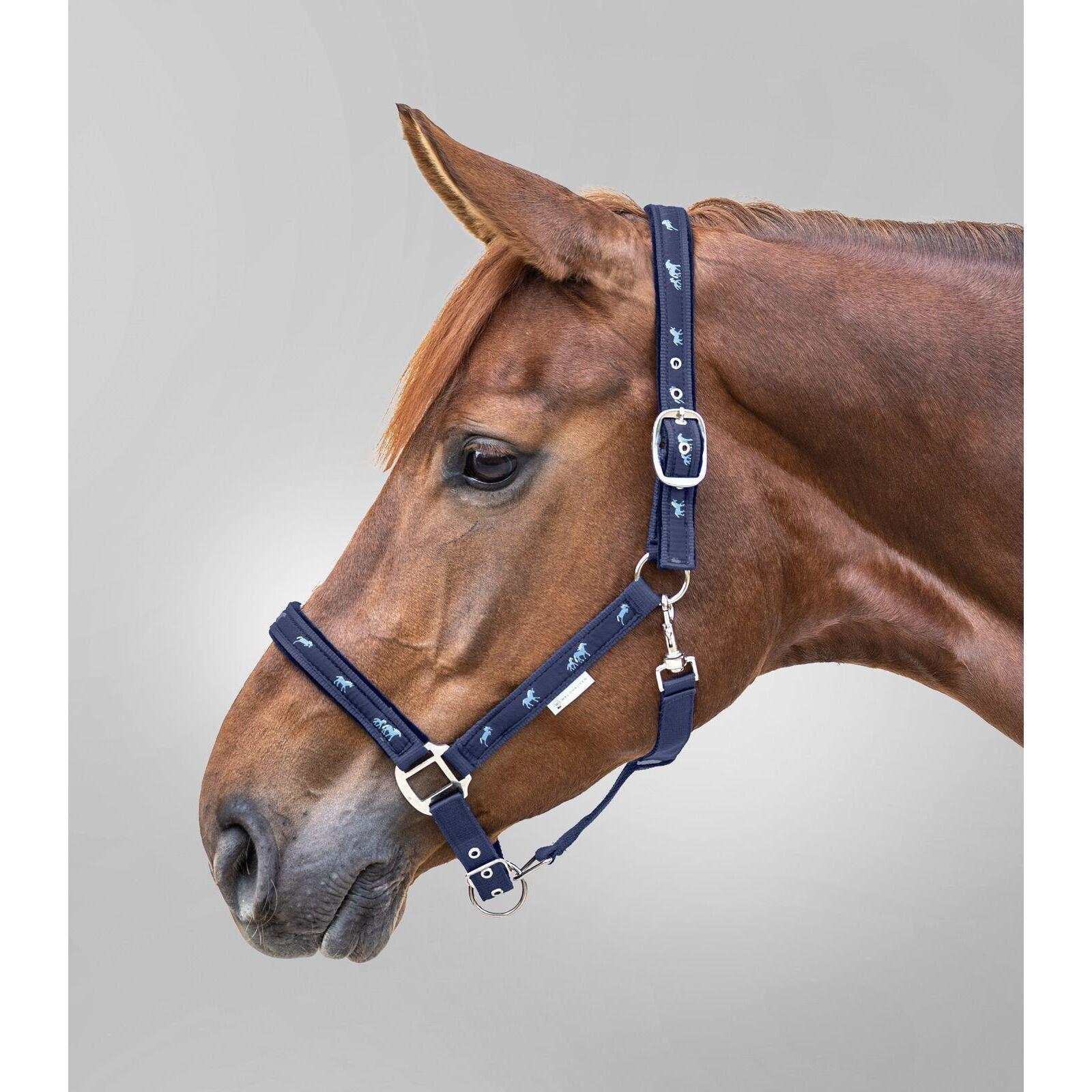 product/w/a/waldhausen_501505-wb_bleu-marine_2.jpg