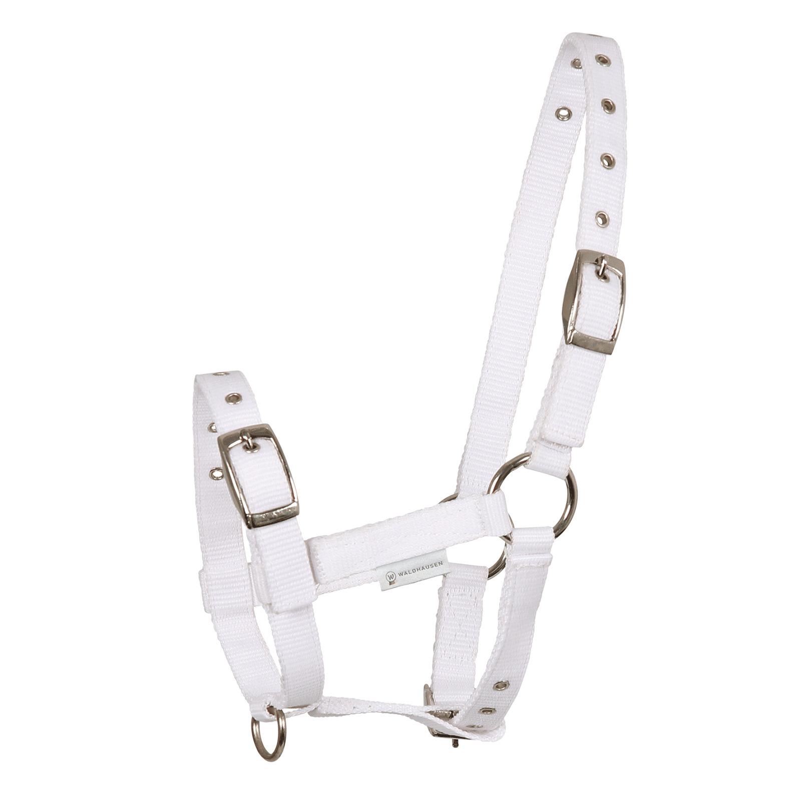 product/w/a/waldhausen_5044302_blanc_1.jpg