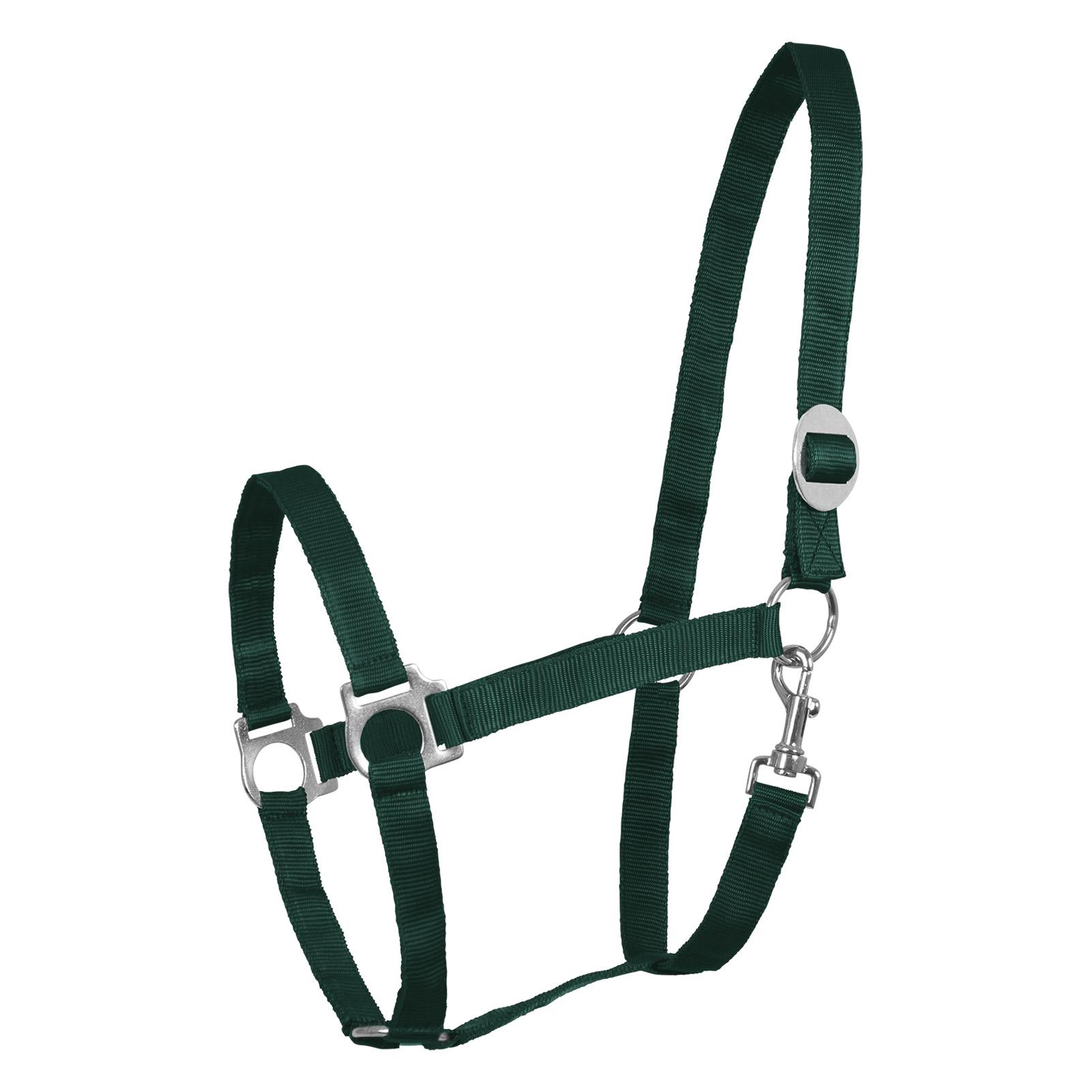 product/w/a/waldhausen_602064-vb_vert-sapin_1.jpg