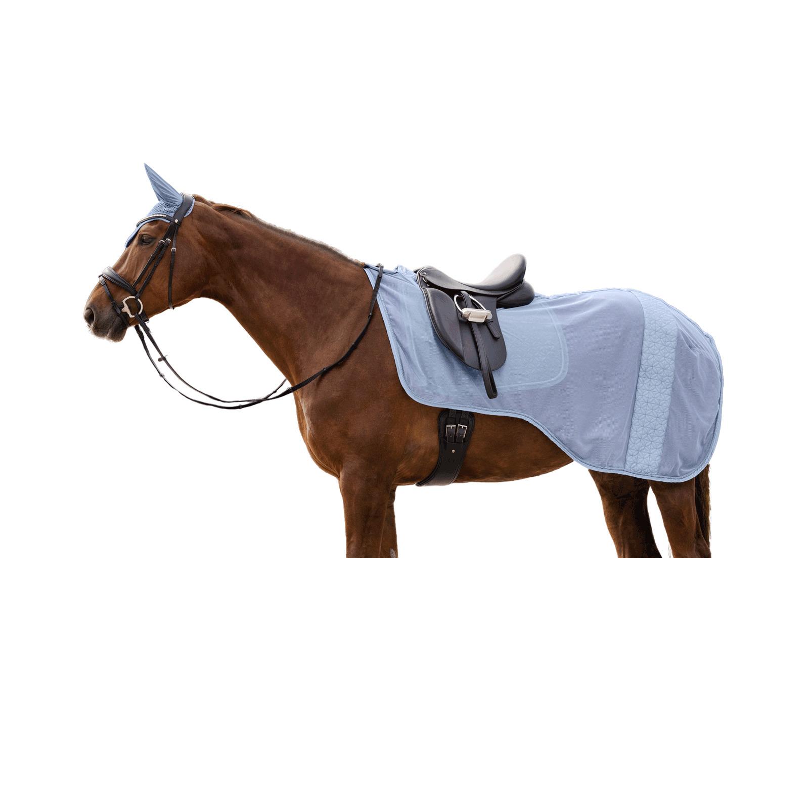 product/w/a/waldhausen_6331854-vb_bleu-pastel_1.jpg