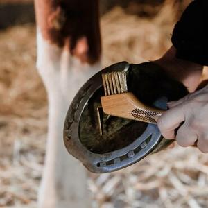 Cure-pieds et brosses à sabots 