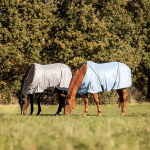 Cheval au repos