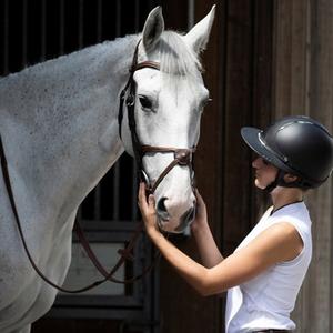Cavalière