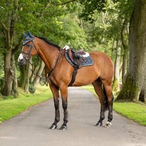 Textile pour cheval 