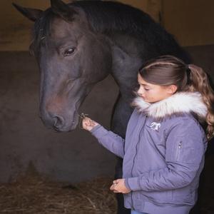 Blousons et vestes