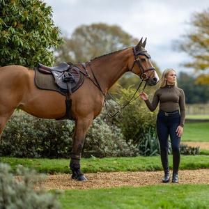 Cheval au travail
