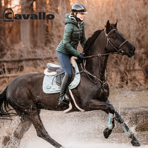 Nouveautés Cavallo