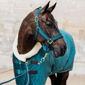 Ensembles licols et longes