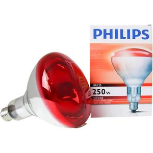 product/2/2/22314.jpg