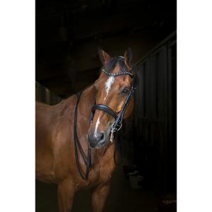 303045202-licol-pour-cheval-eric-thomas-hybrid-noir-tu