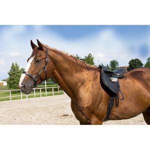 307500102-licol-pour-cheval-pour-poney-cuir-grooming-eric-thomas-pro-noir-double-noir-tu
