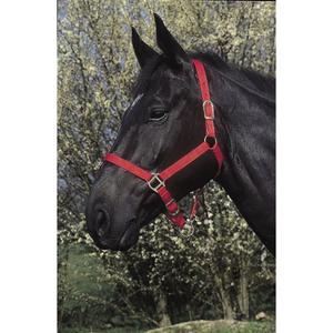 510031003-licol-pour-cheval-riding-world-rouge