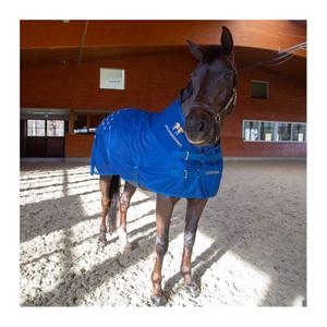 product/a/c/accuhorsemat_850020010400_1.jpg