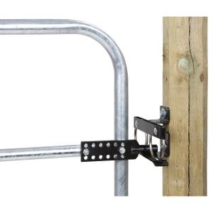 product/a/k/ako_441025_2.jpg