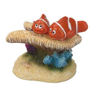 product/a/q/aqua-della_234-426999_4.jpg