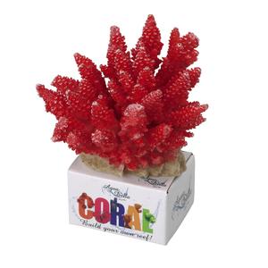 product/a/q/aqua-della_234-431214.jpg