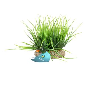 product/a/q/aqua-della_242-480885_1.jpg